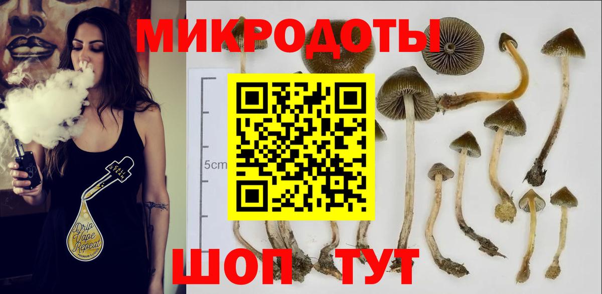 Галлюциногенные грибы Psilocybine cubensis  Вход с VPN  Лобня 